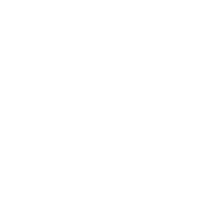 Local Globe logo
